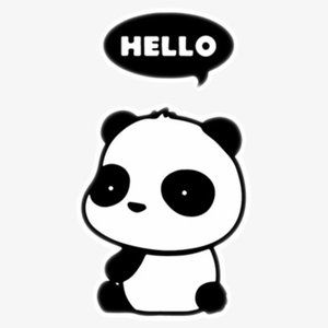 Meet your Posher, Katelyn